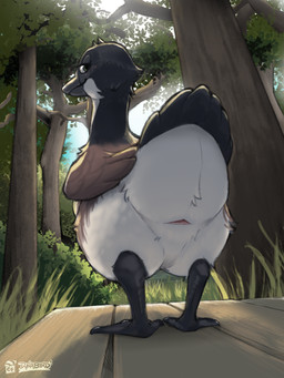 ambiguous_gender animal_genitalia avian_butt biped black_body black_feathers ...