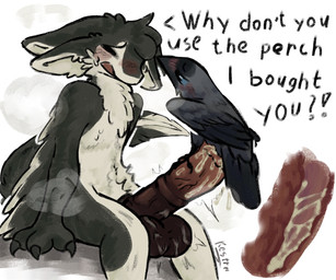 3_fingers 4_ears animal_genitalia animal_penis anthro anthro_on_feral anthro_...