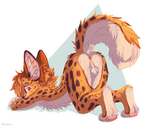 anthro anus ass_up big_ears butt eyewear feet glasses hindpaw male markings o...