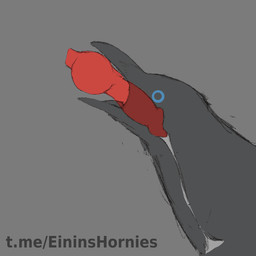 ambiguous_gender ambiguous_penetrated animal_genitalia animal_penis beak beak...