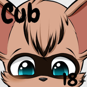 Co-op toy~?