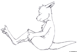 Roo Paws Presented