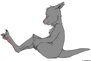 Roo Paws Presented