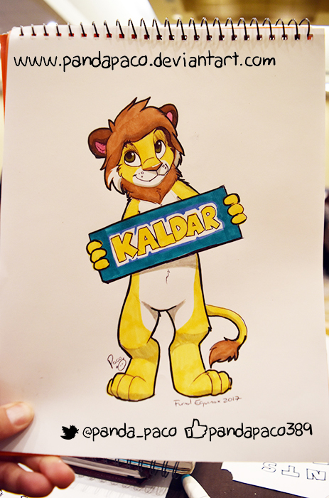 1995187_pandapaco_355_kaldar.jpg