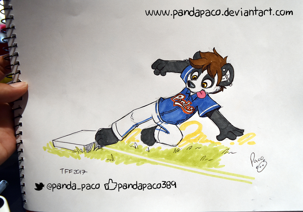 1995192_pandapaco_360_neevi.jpg