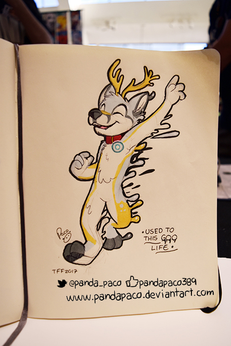 1995195_pandapaco_362_jaiydawoof.jpg