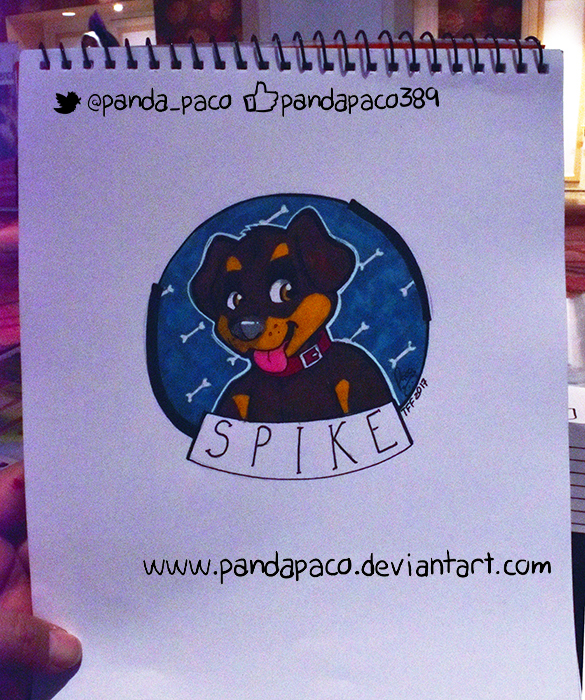 1995197_pandapaco_364_spike.jpg
