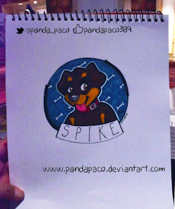 1995197_pandapaco_364_spike.jpg