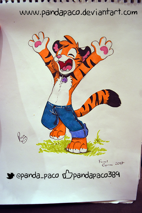 1995205_pandapaco_347_axeltiger1099.jpg