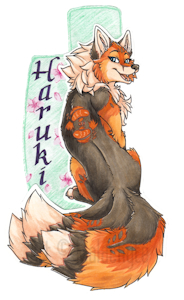 [Badge] Haruki