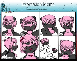 Keri's Expression Meme