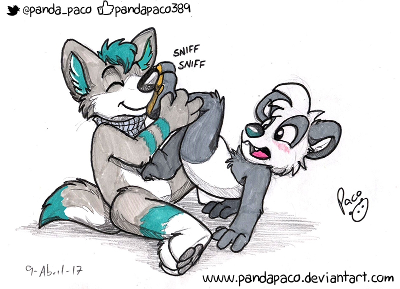 2013338_pandapaco_373cosmic_sniffing.jpg