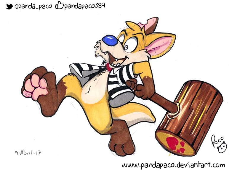 2013339_pandapaco_374dingoroo.jpg
