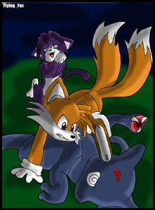 184985_FlyingFox_sktails_copy.jpg