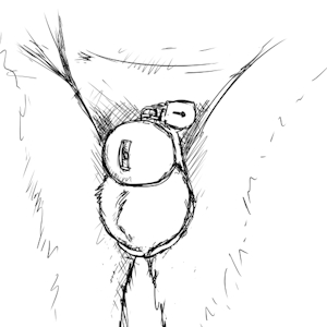 locky sketch