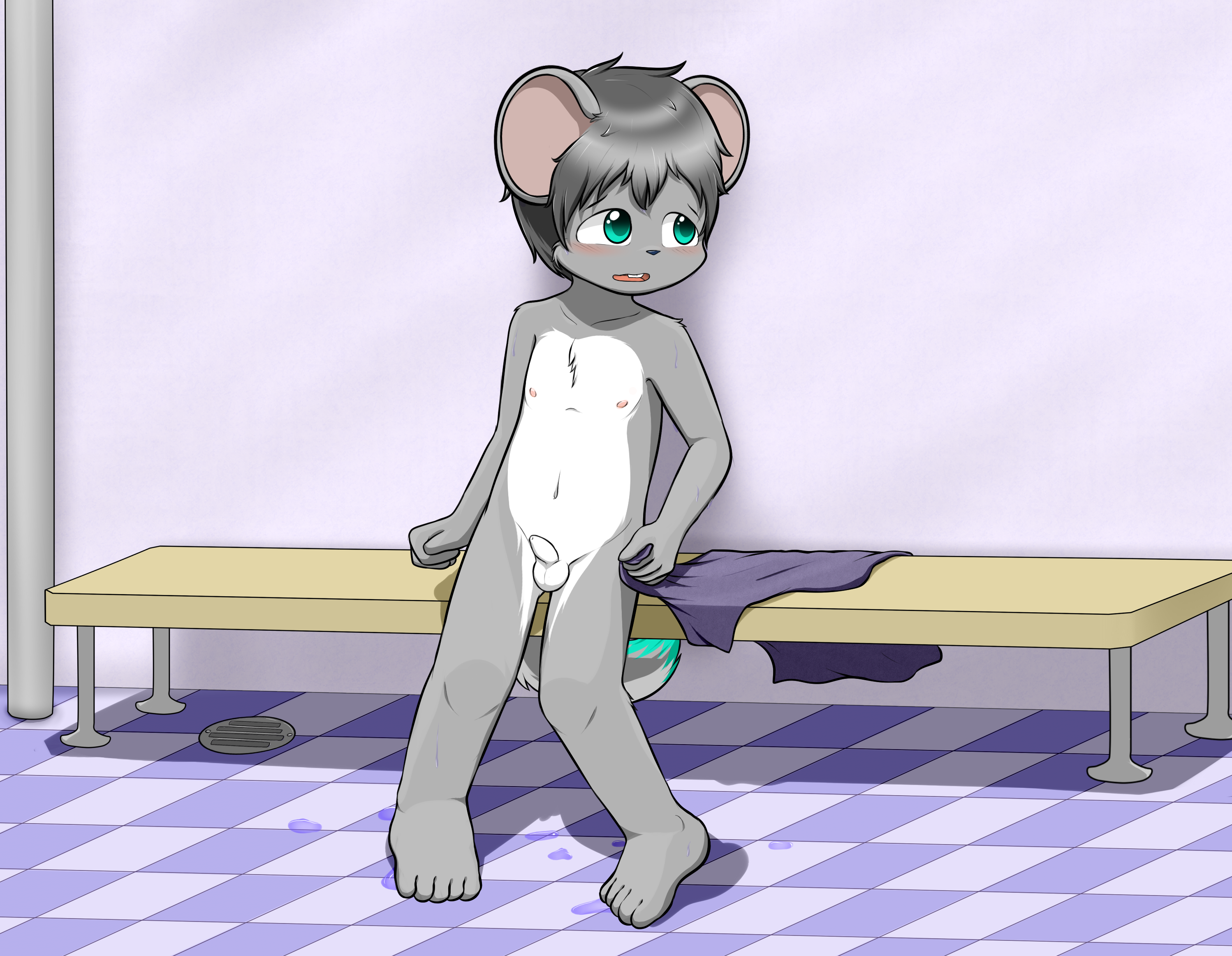 2035065_WinterFox_tommyseptember2.png