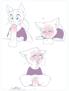 cat buddy