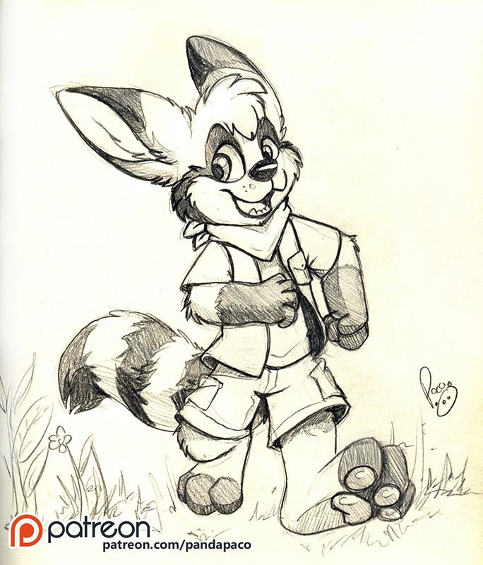 2044146_pandapaco_392kitcoon.jpg