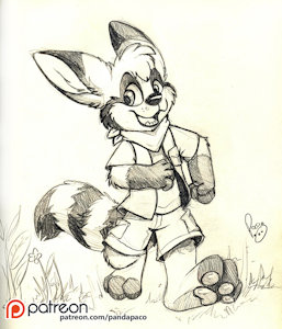 2044146_pandapaco_392kitcoon.jpg