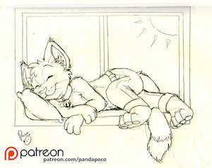 2044155_pandapaco_401dahan.jpg