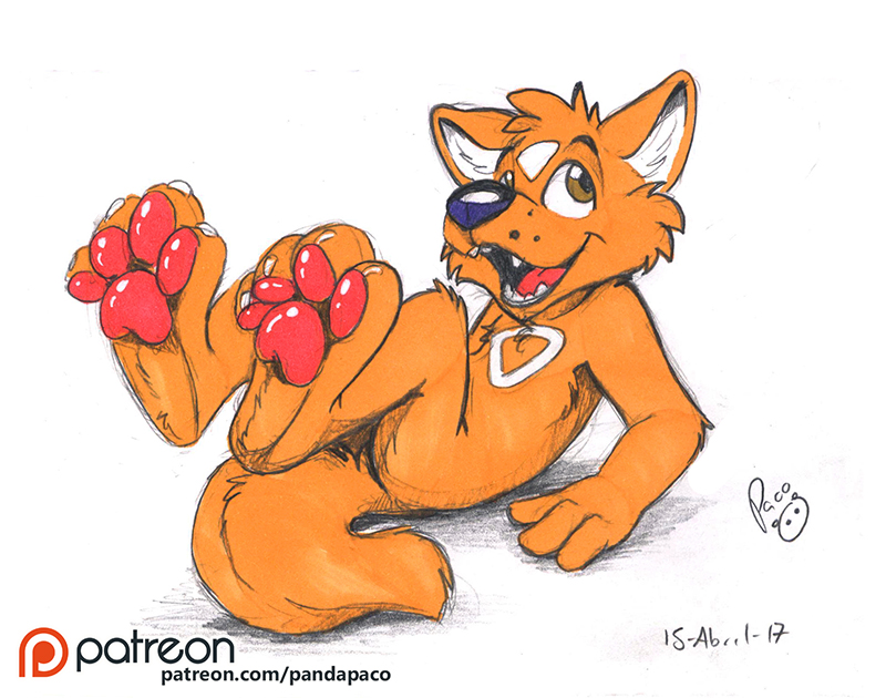 2044157_pandapaco_379krev_fox.jpg