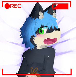 gift to nochusky
