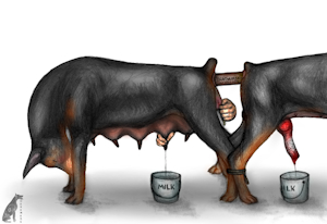 Milked