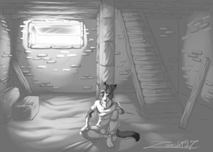 the basement