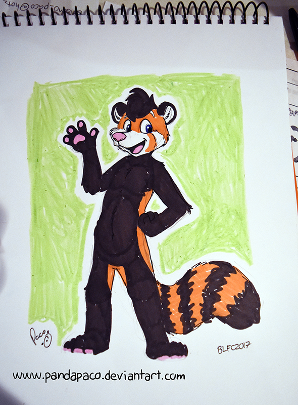 2068319_pandapaco_406kyred.jpg