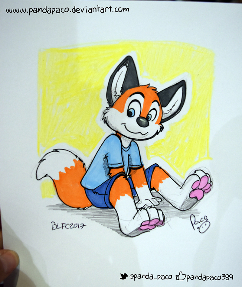 2068324_pandapaco_411_foxcub.jpg