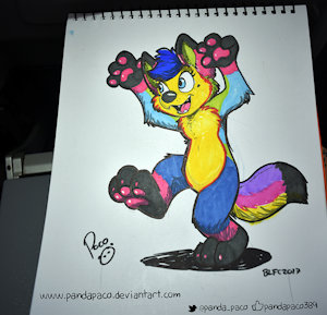 2068327_pandapaco_414_pawiepaws.jpg