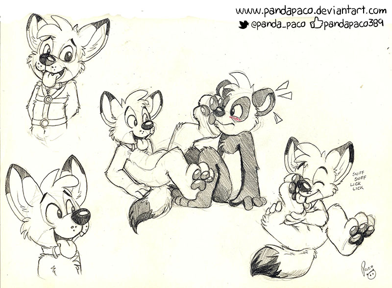 2068331_pandapaco_403tk_panda.jpg