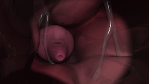 Final renders on inside shots