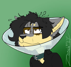 The cone