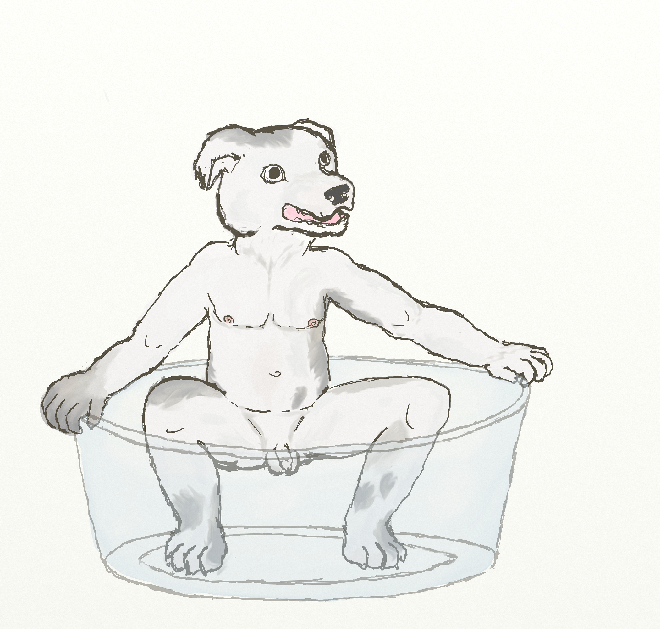 2083051_tapstnt_squatty2.png