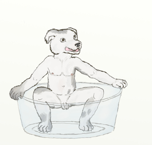 2083051_tapstnt_squatty2.png
