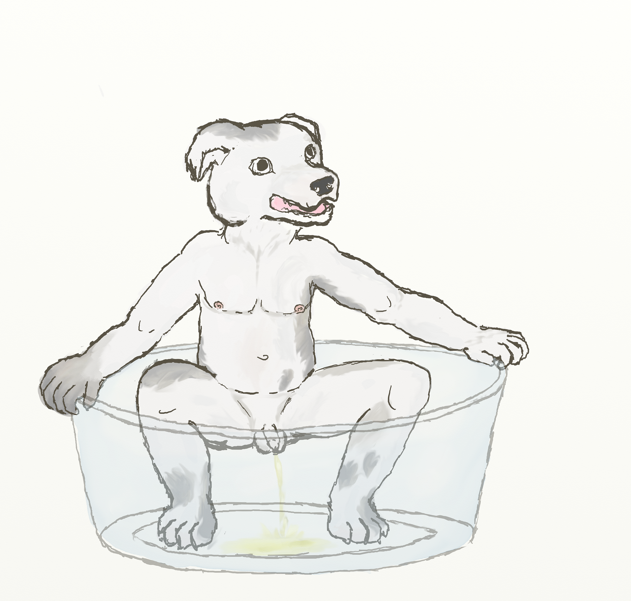 2083056_tapstnt_squatty3.png