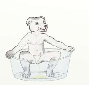 2083056_tapstnt_squatty3.png