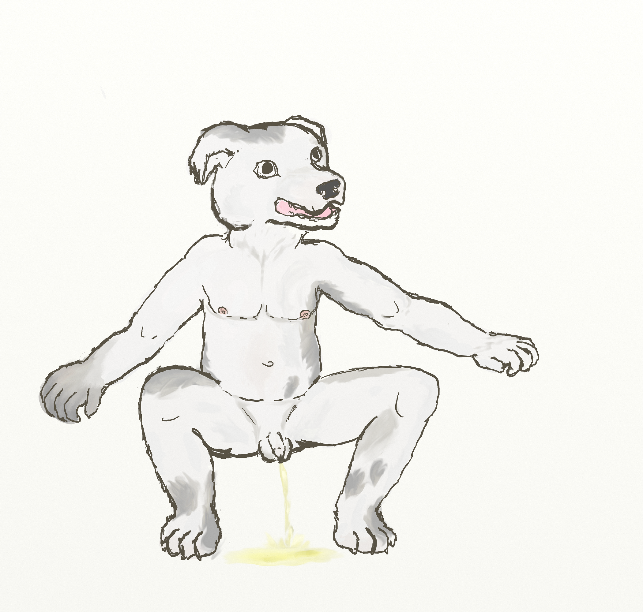 2083057_tapstnt_squatty4.png