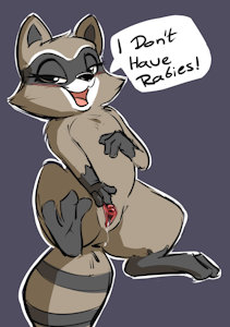 Don't have Rabies Racoon