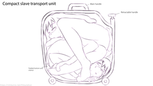 Compact slave transport unit