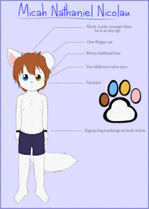 Micah Nathaniel Nicolau - Ref 2017