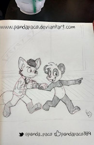 2088396_pandapaco_425_chanse.jpg