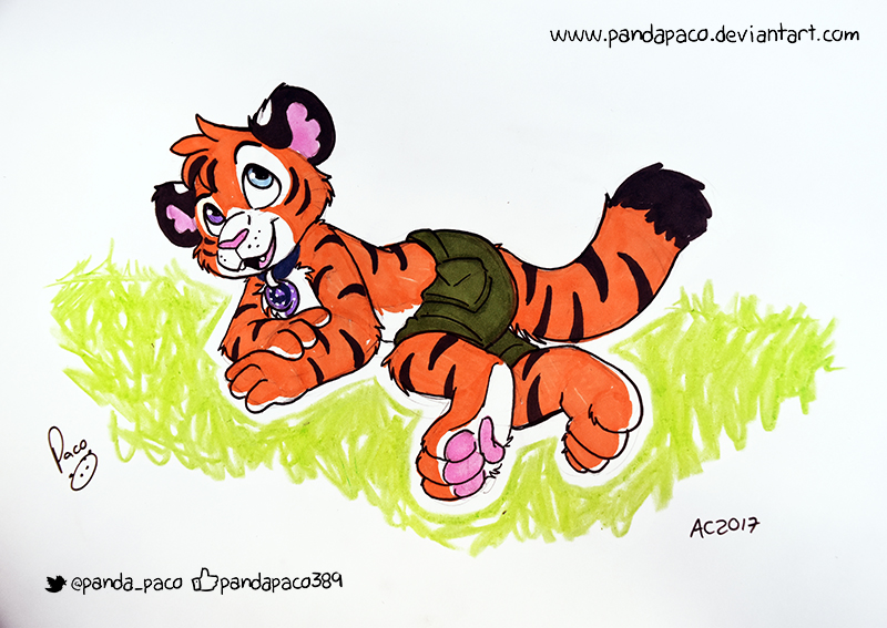 2088408_pandapaco_417axel_tiger.jpg