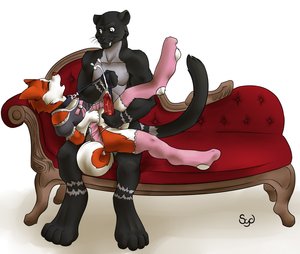 Slave 'kitaboy!