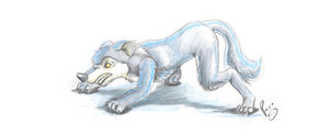 lobo