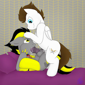 YCH - 52