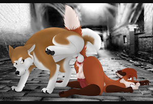 YCH - 84