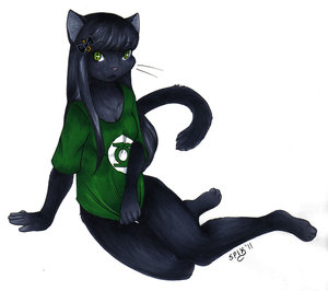 Kitani Commission - Sleek and Black