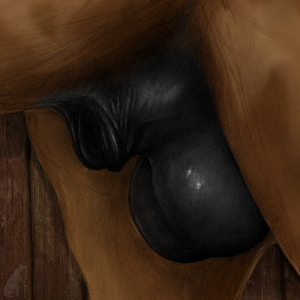 Sweat and Semen
